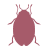 bed bug icon